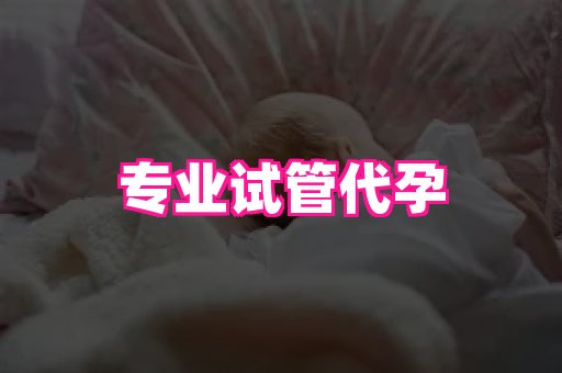 点点助孕网 1