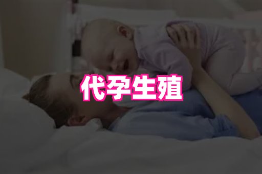 点点助孕网 2