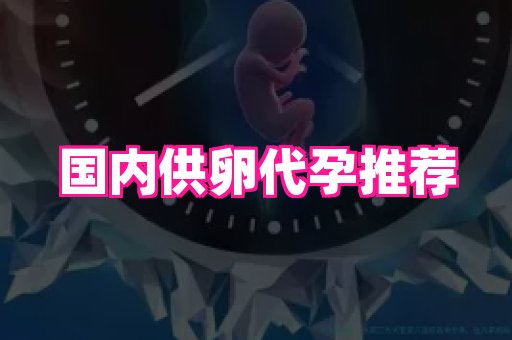 点点助孕网 3