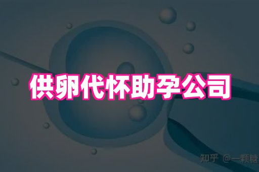 点点助孕网 4
